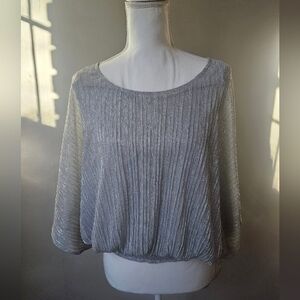 NWT Shimmery Silver Pleated Batwing Blouse